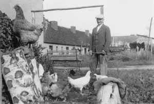 Otto Tarrach 1947 mit seinen Hühnern
